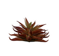 Akwa plant ornament 1