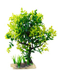 Aquarium plant 8