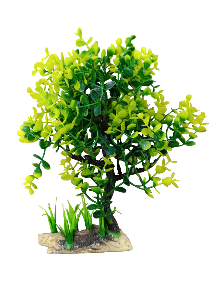 Aquarium plant 8
