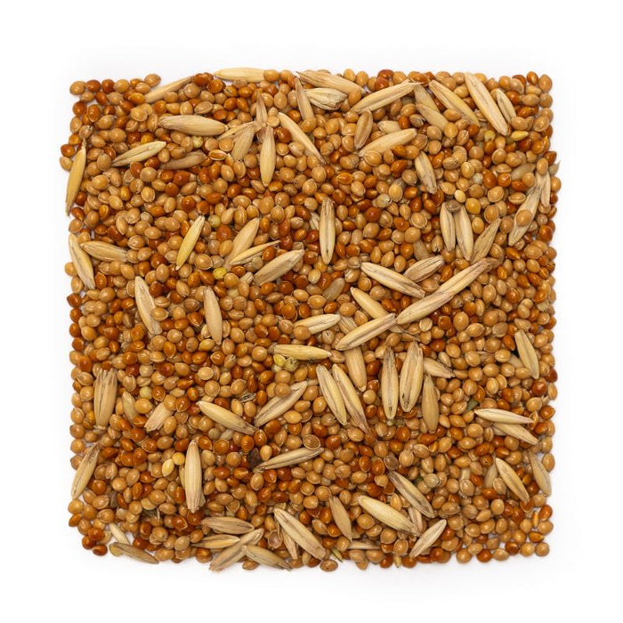 Budgie seeds 5kg
