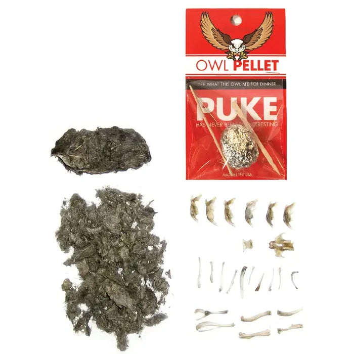 Copernicus Toys Owl Pellet - Compact Curiosities Dissection Kit