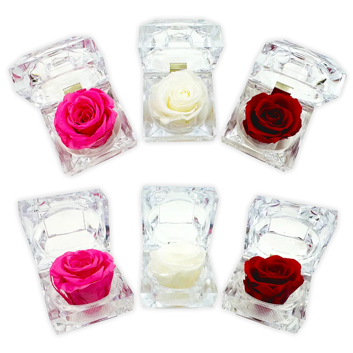 Diamond Real Preserved Rose Keepsake - 12 Pieces Per Retail Ready Display 24712 KIPP BROTHERS