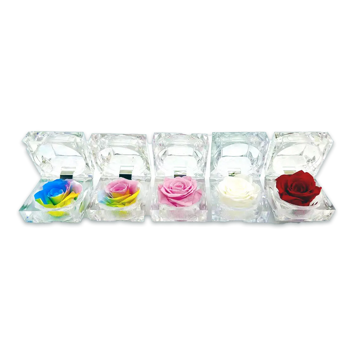 Diamond Real Preserved Rose Keepsake - 12 Pieces Per Retail Ready Display 24888 KIPP BROTHERS