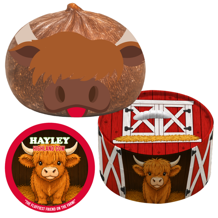 Fun Doh™ Barnyard Jelly Dumpling Squishies - 12 Pieces Per Retail Display 27119