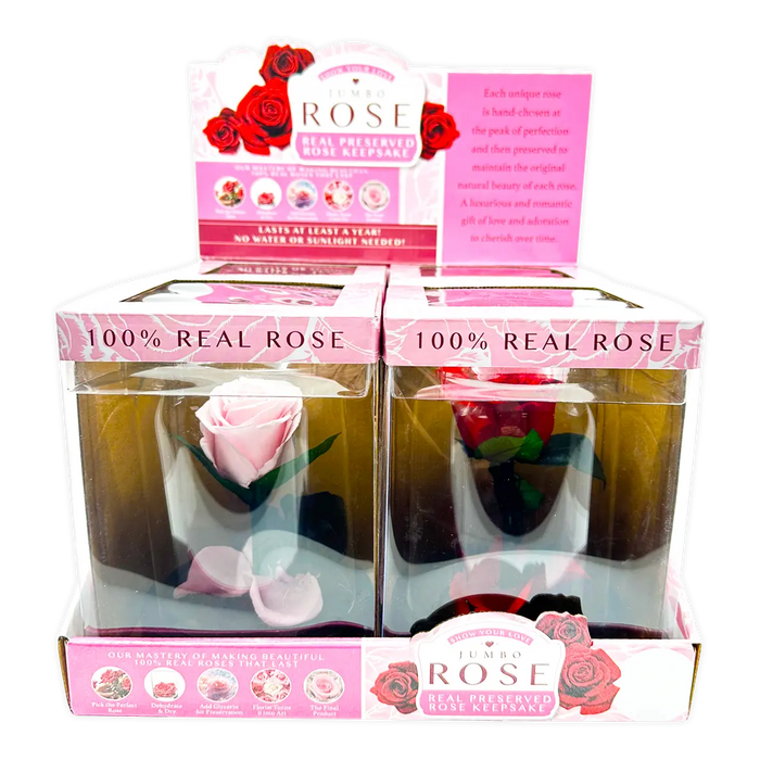 Glass Dome Real Preserved Rose Keepsake - 4 Pieces Per Retail Ready Display 25008 NOVELTY INC