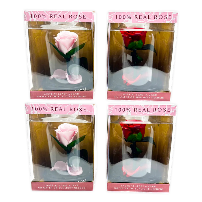 Glass Dome Real Preserved Rose Keepsake - 4 Pieces Per Retail Ready Display 25008 NOVELTY INC