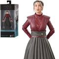 Hasbro Star Wars The Black Series Ahsoka - Morgan Elsbeth
