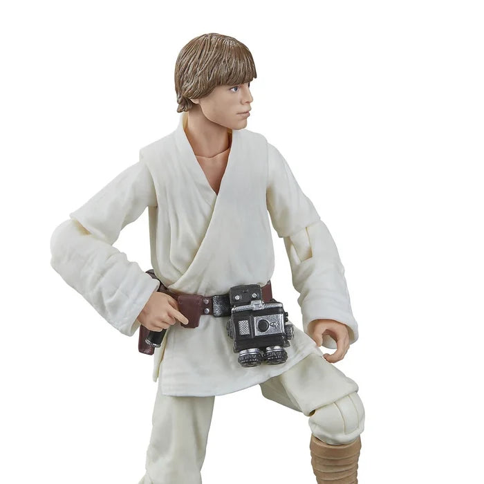 Hasbro Star Wars The Black Series Luke Skywalker