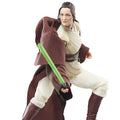 Hasbro Star Wars The Black Series The Acolyte Jedi Master Indara