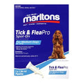 Marltons dog spot on medium dog