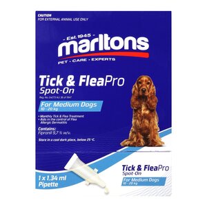 Marltons dog spot on medium dog
