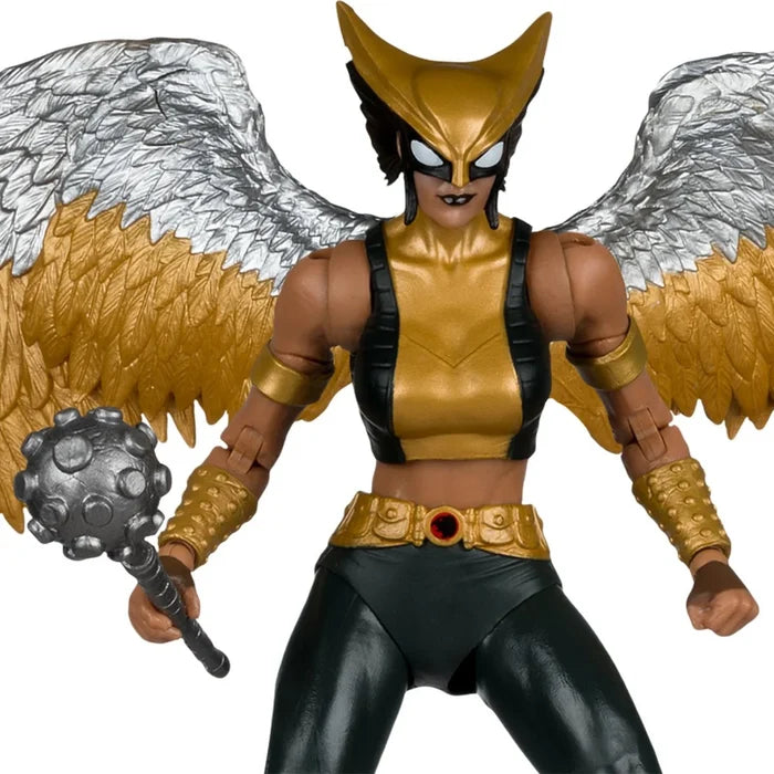 McFarlane Toys DC Multiverse Collector Edition Hawkgirl (Kendra Saunders)