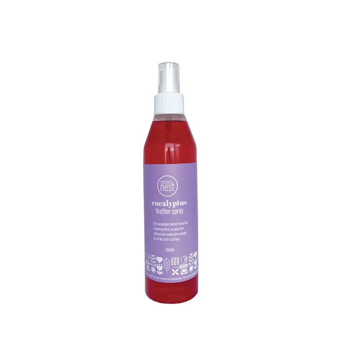Natures nest feather spray eucalypytus
