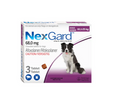 NexGard Large Dog 10-25kg Chewable Tick & Flea Tablet 3