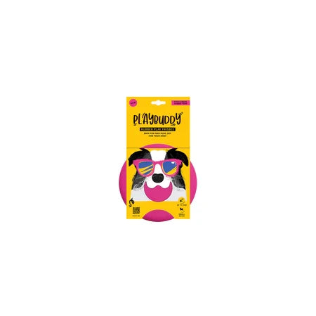Playbuddy frisbee