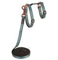 Rogz cat harness small turquioise moon
