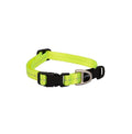 Rogz Classic Collar Dayglo XL