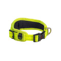 Rogz classic collar padded dayglo L