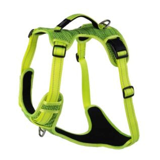 Rogz Explore Harness Dayglo s