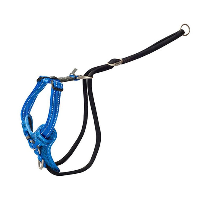 Rogz stop pull harness blue L