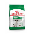Royal Canin mini adult 8+ 2kg