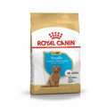 Royal canin poodle puppy 3kg
