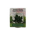 RTG anubias 'petite' TC