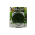 RTG Eleocharis acicularis 'Mini' tc