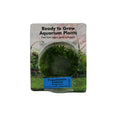 RTG Pogostemon erectus TC